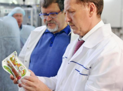 Губернатор Гордеев и депутат Госдумы Пономарев открыто занимаются бизнесом