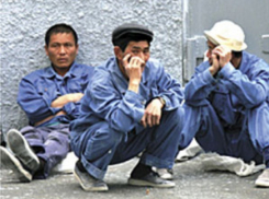 В Россошанском районе задержаны нелегальные мигранты из Узбекистана