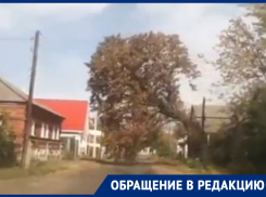 Обман собственной смерти снял автомобилист в Воронежской области 