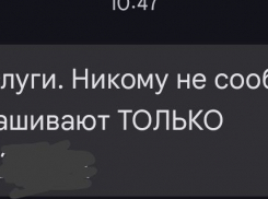 “Госуслуги” придумали новый способ предупреждать о мошенниках