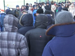 Воронежцы встали живым щитом, чтобы записать детей в новую школу