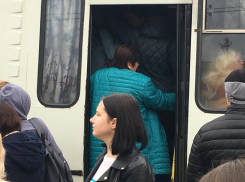 Станет ли Снежная королевой маршруток в Воронеже