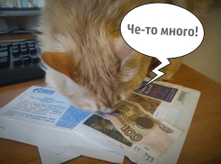 «Больше 20 тысяч»: сколько приходится тратить на оплату ЖКХ в месяц, рассказали читатели «Блокнота» 