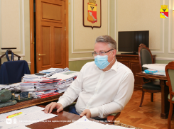 Мэр Воронежа «завернул» проект новой дороги Тимирязева-Ломоносова, опасаясь за дендропарк ВГАУ