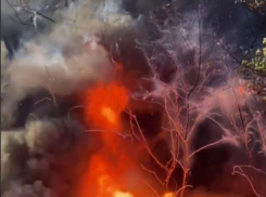  “Давайте удерживать дураков со спичками”: МЧС призывает защищать Воронежскую область от пожаров