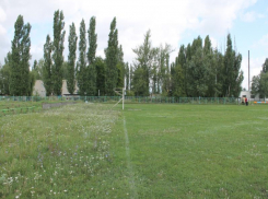 Активисты просят чиновников не разрушать стадион в воронежском микрорайоне