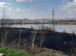 Раскрыта причина крупного пожара недалеко от Воронежского авиазавода