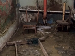 Трофима и Стаса Михайлова затапливает фекалиями в воронежском подвале