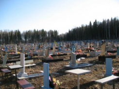 В Воронежской области трое подростков на кладбище разгромили 26 могил