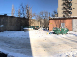 Тело убитой 27-летней девушки нашли на мусорке в Воронеже