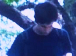 Воронежцы распространяют ориентировку на насильника из яблоневых садов