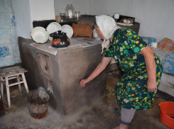 Жители хутора в Воронежской области: «Предприниматель превратил реку в пруд и теперь у нас в огородах камыши растут, а в дома заползают змеи»