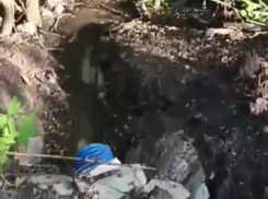 «Мы называем его вонючка», – фекальный пруд «ароматит» жителей Воронежской области