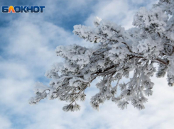 Названа дата первого снега в Воронежской области