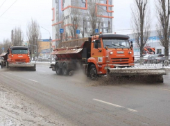 Мэр Воронежа Сергей Петрин рассказал о работе снегоуборочной техники и обратился к водителям