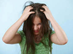 Воронежскую школу атаковали агрессивные вши