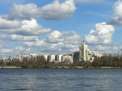 В Воронеже лучшие экологические проекты получат по 35 тысяч рублей от мэра