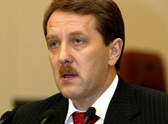 Алексей Гордеев проинформировал христианских демократов о потенциале Воронежской области