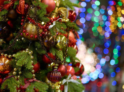 Воронежские чиновники не пустили многодетную семью на Губернаторскую елку 