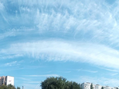 Теплая погода в Воронеже еще задержится 