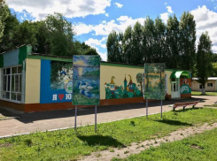 Мэр Воронежа поручил распланировать ремонт детских лагерей на следующий год