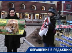  Воронежцы вышли на пикет ради львов и тигров из крымского сафари-парка