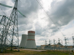 «Медленно умирает на высоте 6 этажа»: удивительная история «атомного» аиста из Нововоронежа 