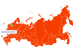 Как Воронежская область выглядит на ковидной карте России по общему числу заражений 