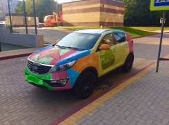 Самую милую аэрографию года сняли на фото в Воронеже