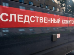 Мертвую женщину с живым младенцем нашел в поле воронежец