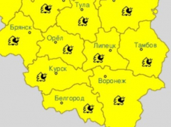 Желтый уровень опасности объявили в Воронеже из-за погоды
