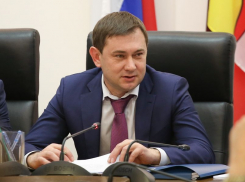 Планирует ли Владимир Нетесов сделать облдуму прозрачной для воронежцев