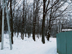 Морозная погода ожидается в начале новой рабочей недели в Воронеже