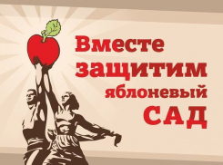 В Воронеже защитники яблоневого сада на Ломоносова соберут подписи и проведут митинг у «Пролетария»