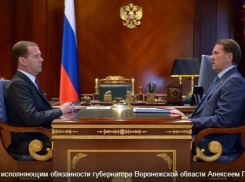 Алексей Гордеев рассказал о новых проектах Дмитрию Медведеву