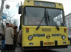 Воронежский «Народный маршрут» сделают платным с 19 ноября