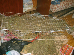 В Воронеже двое мужчин и женщина хранили в квартире 6 килограммов марихуаны
