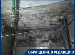 Нечеловеческие условия общежития могут убить воронежцев