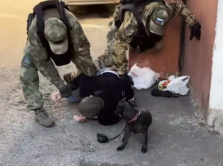Опубликовано видео задержания воронежца, переводившего крипту ГУР Украины