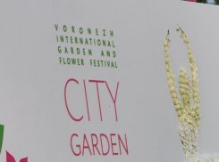 Концепцию фестиваля «Город-сад» в Воронеже разработают москвичи за 1,8 млн рублей