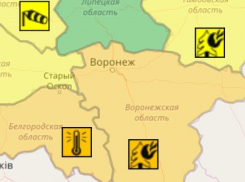 Оранжевый уровень опасности объявили в Воронеже из-за жары и грозы