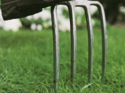 В Воронежской области женщина попала на операционный стол из-за мужа