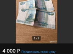 Необычное объявление на популярном сайте улыбнуло воронежцев