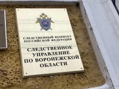 Родила и выкинула ребенка в окно: стали известны подробности детоубийства в Воронеже 