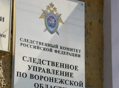 Мужчина убил товарища из-за любимой под Воронежем 
