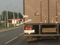 Нижнее белье помогло дальнобойщику уйти от штрафов под Воронежем 