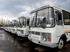 В Воронежской области районы получили 50 новых автобусов «ПАЗ»