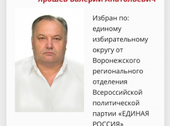 Воронежские власти порадовали новоизбранного депутата облдумы 12 миллиардами рублей