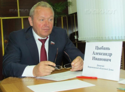 Кассация снова оставила «Выбор» без 80 га на Острогожской в Воронеже