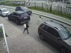 Пятилетнюю девочку сбил пьяный воронежец на Toyota – опубликовано видео 